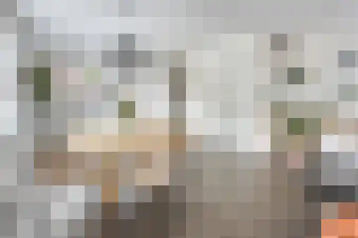 van Wandelenstraat 1 's-Hertogenbosch thumbnail 8
