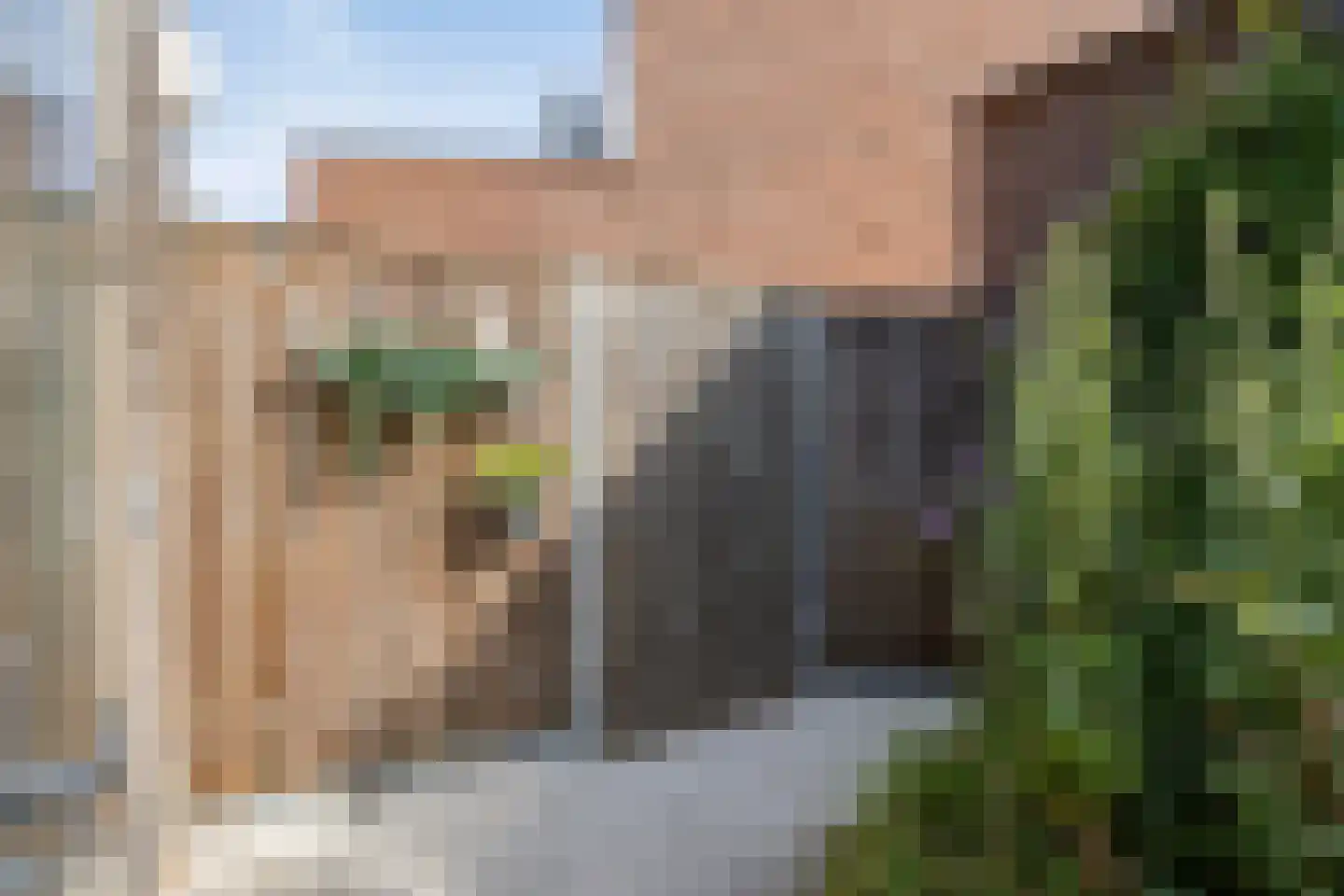 van Wandelenstraat 12 's-Hertogenbosch thumbnail 13