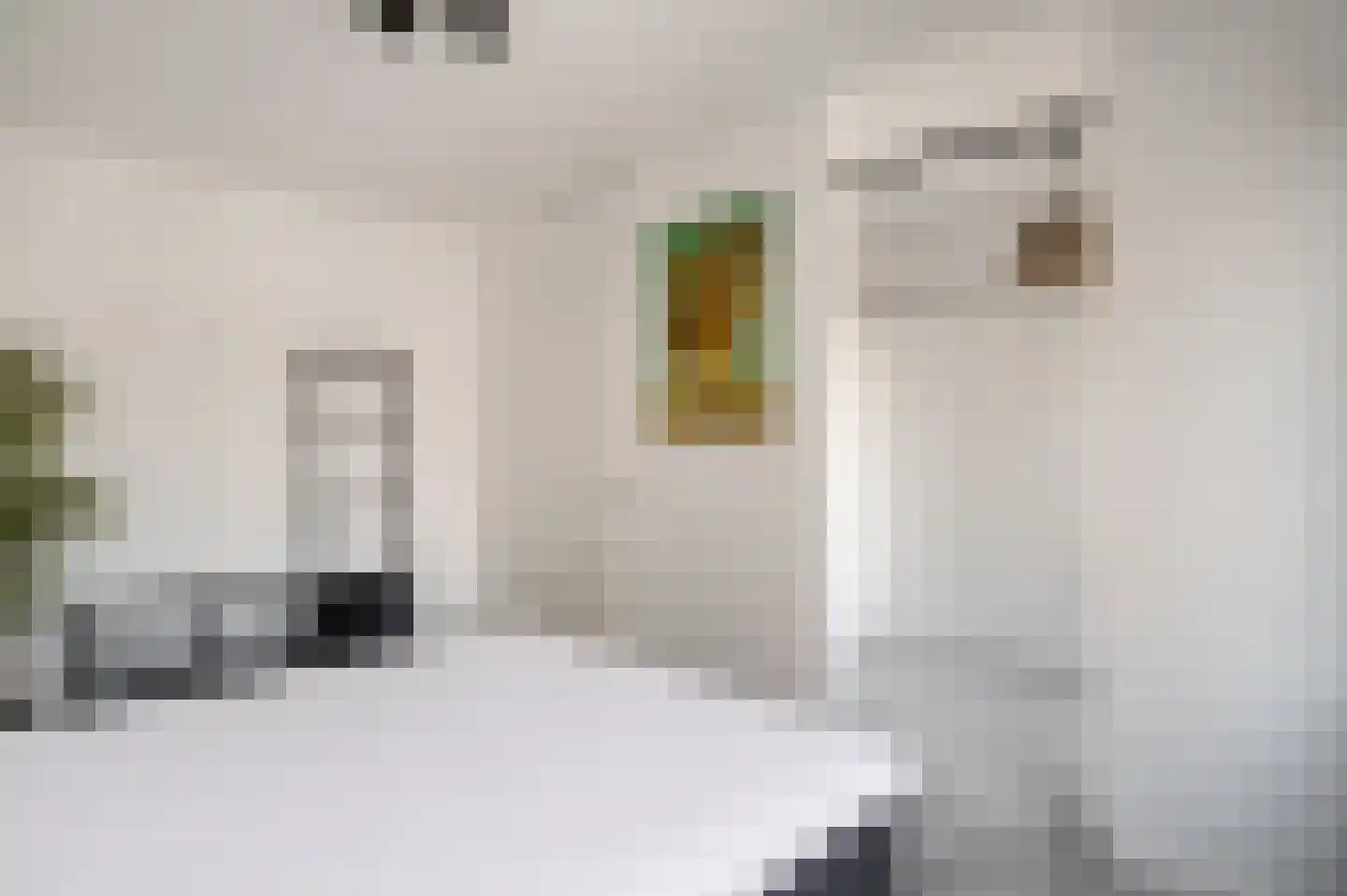 van Wandelenstraat 12 's-Hertogenbosch thumbnail 16