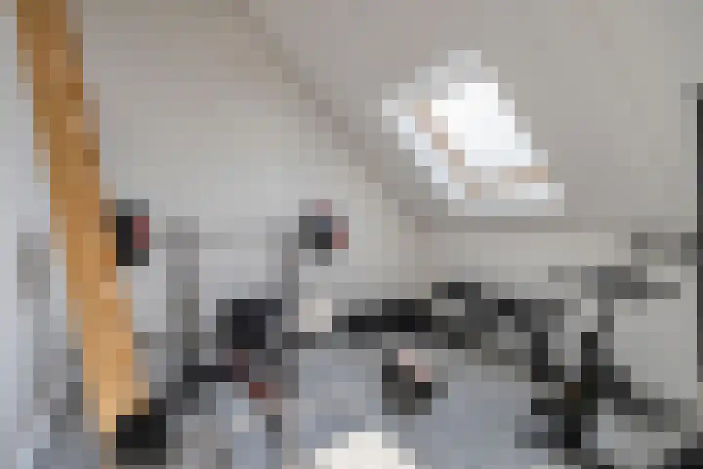 van Wandelenstraat 12 's-Hertogenbosch thumbnail 26