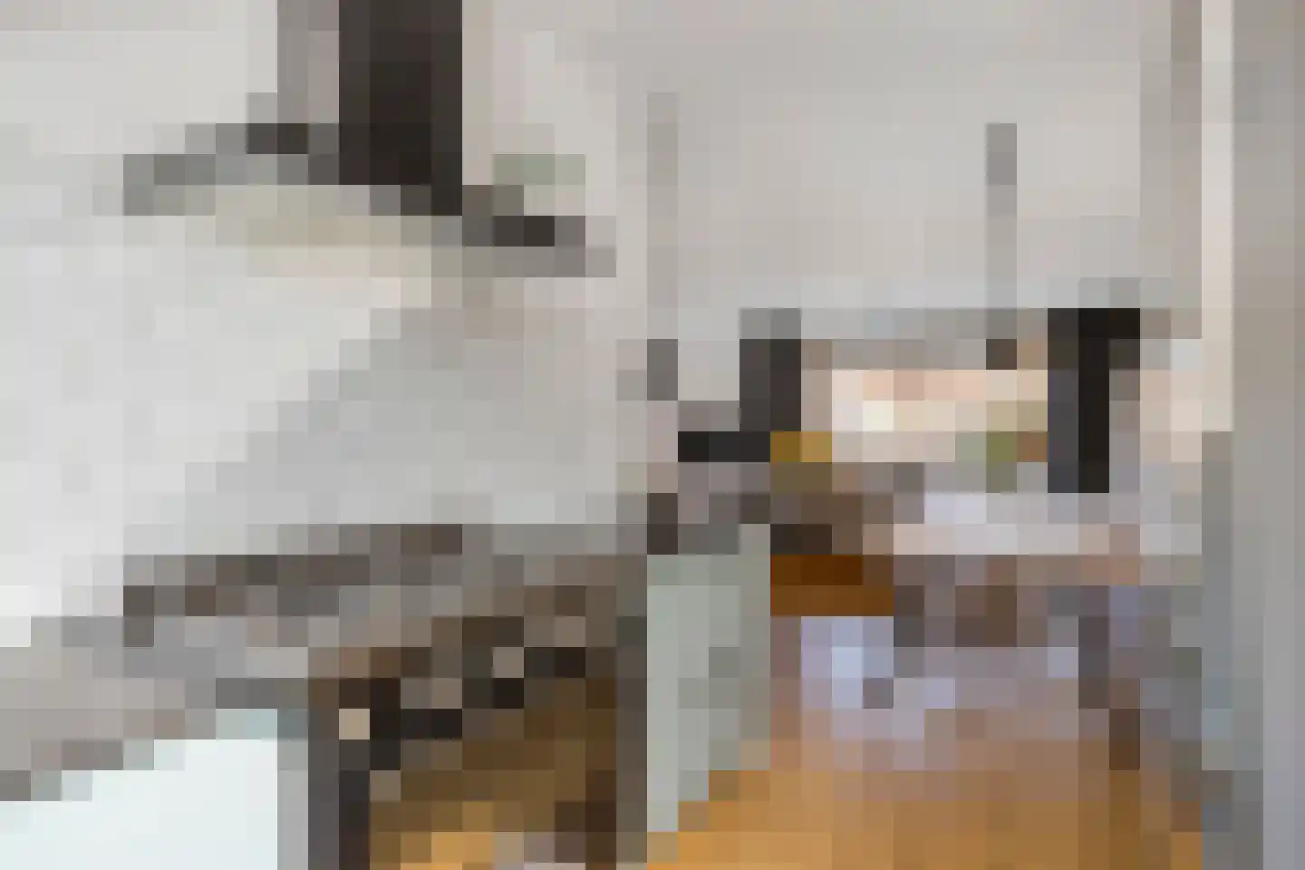 van Wandelenstraat 12 's-Hertogenbosch thumbnail 7