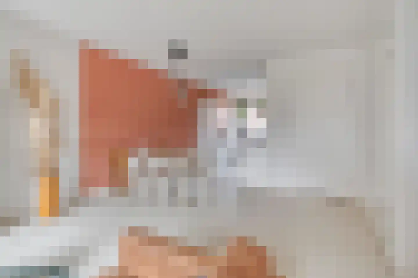 van Wandelenstraat 3 's-Hertogenbosch thumbnail 10
