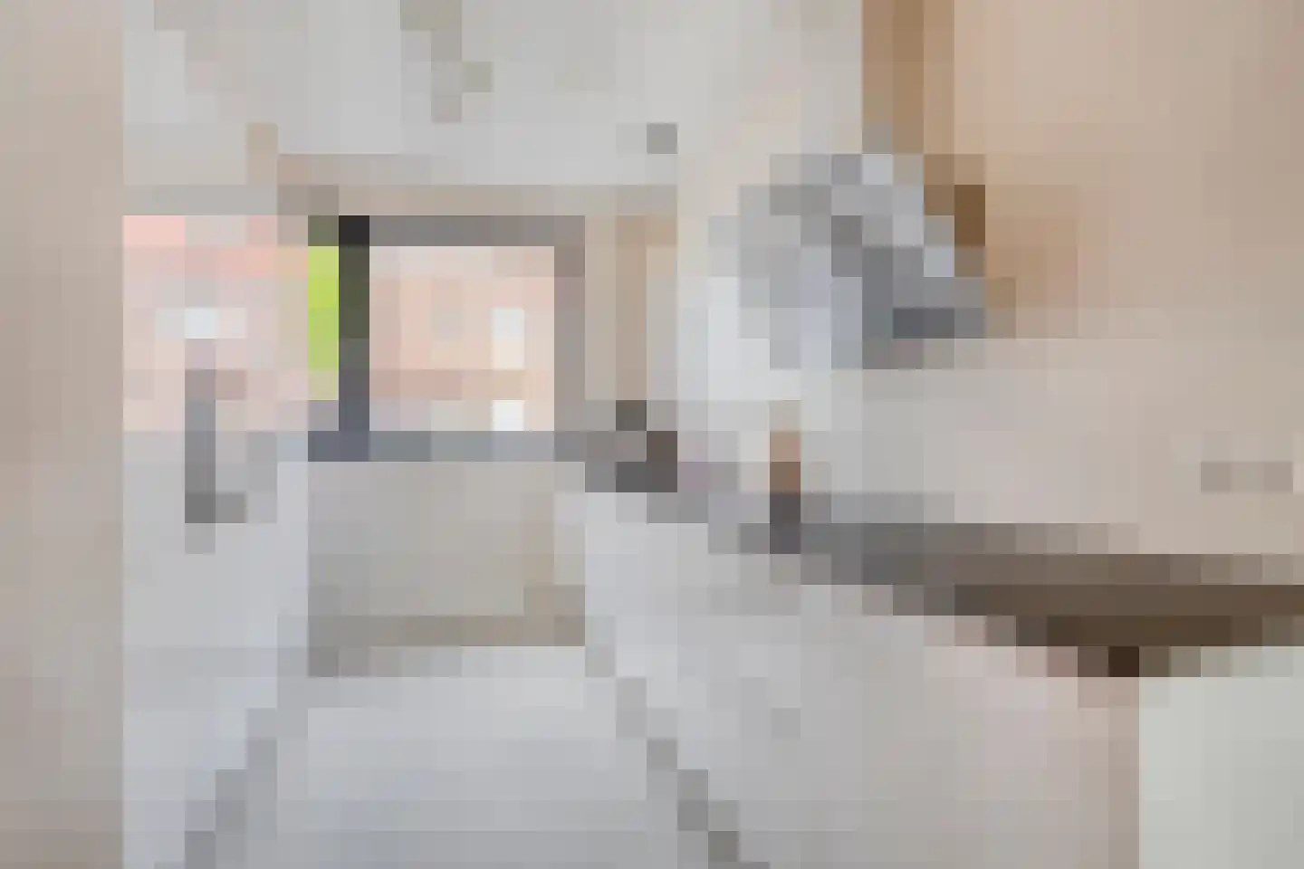 van Wandelenstraat 3 's-Hertogenbosch thumbnail 11