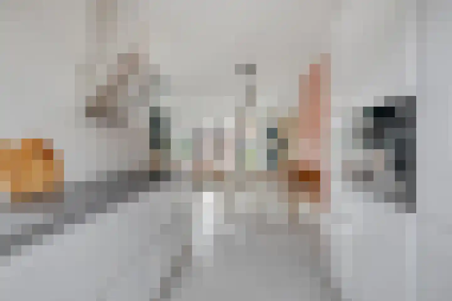 van Wandelenstraat 3 's-Hertogenbosch thumbnail 12