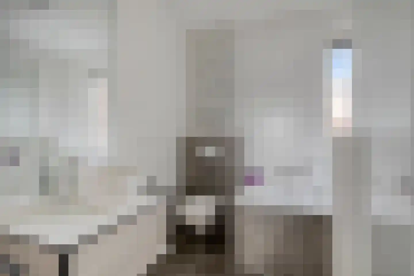 van Wandelenstraat 3 's-Hertogenbosch thumbnail 17