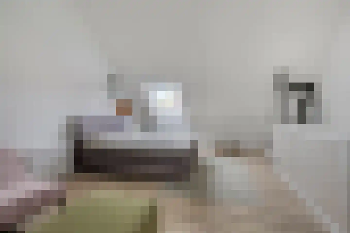 van Wandelenstraat 3 's-Hertogenbosch thumbnail 20