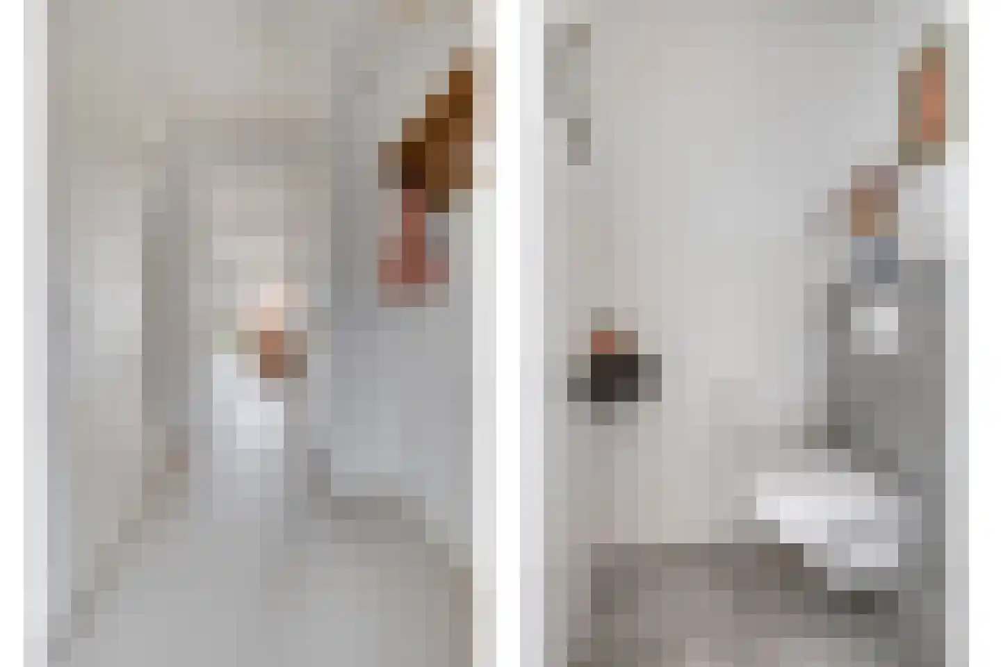 van Wandelenstraat 3 's-Hertogenbosch thumbnail 22