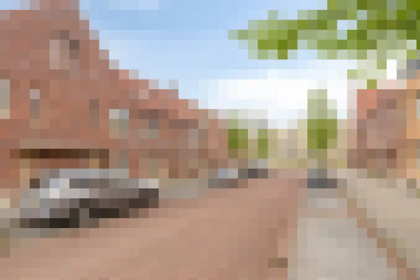 van Wandelenstraat 3 's-Hertogenbosch thumbnail 24