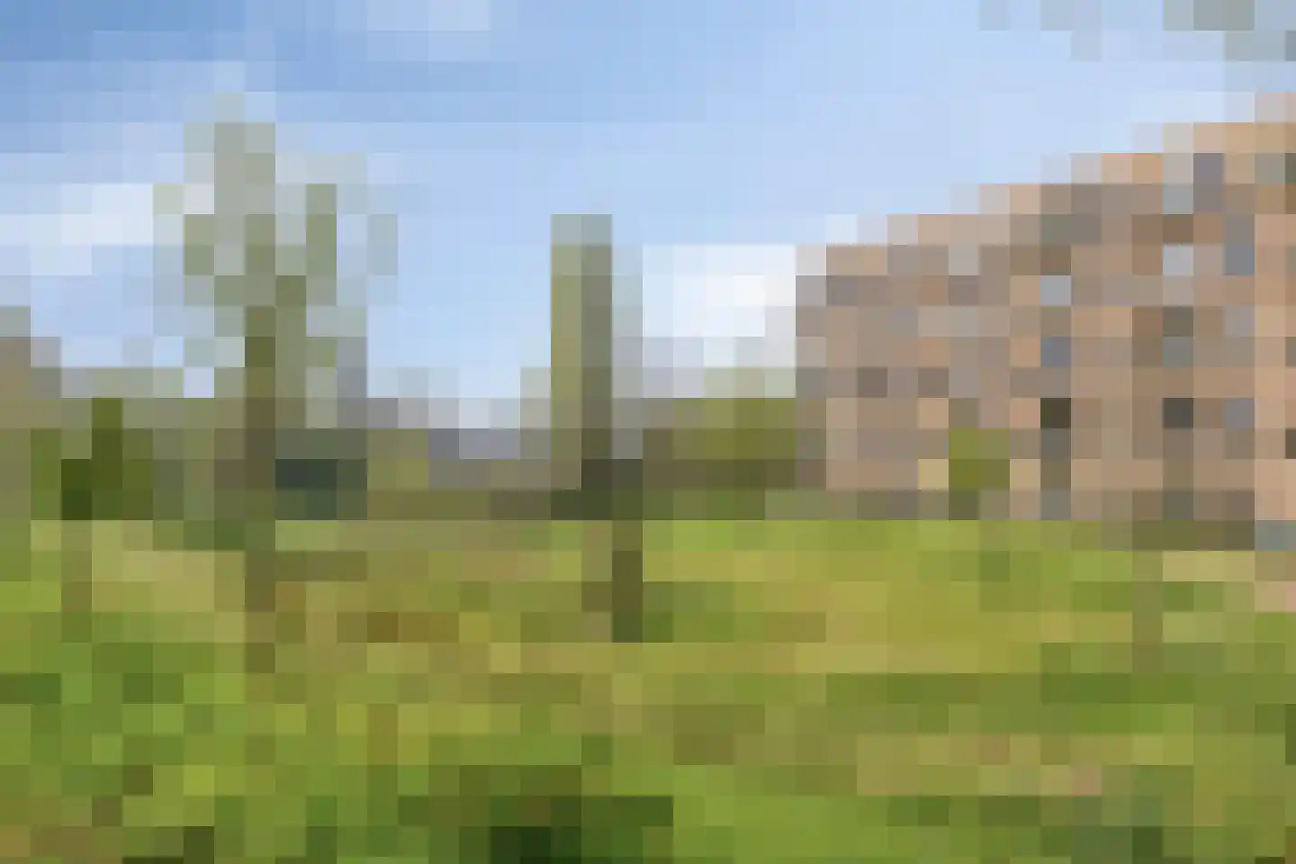 van Wandelenstraat 3 's-Hertogenbosch thumbnail 26
