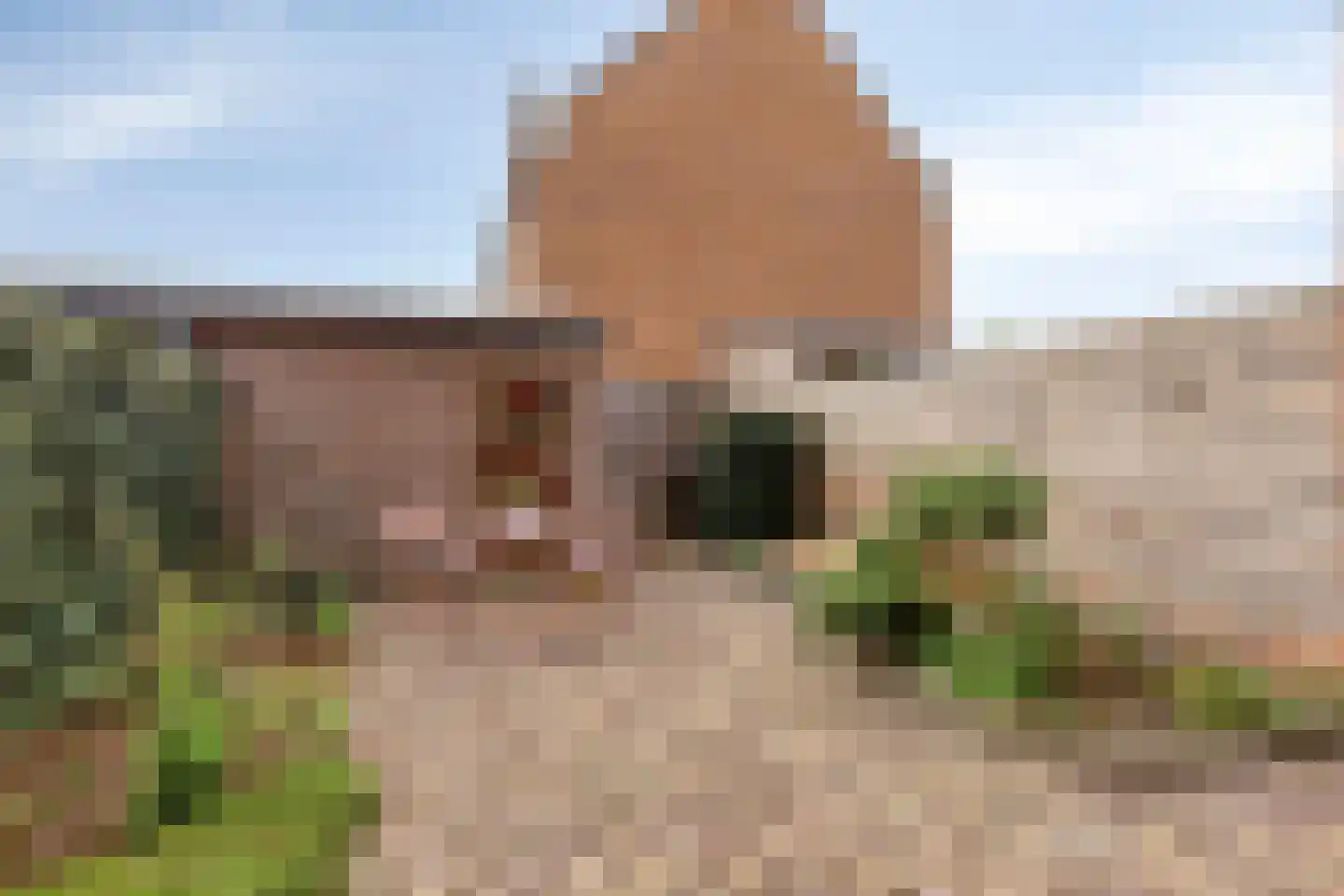 van Wandelenstraat 3 's-Hertogenbosch thumbnail 6