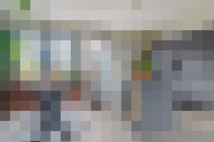 Van Waningstraat 5 Bleiswijk thumbnail 13