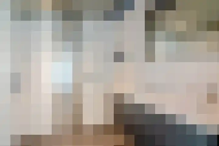 Van Waningstraat 5 Bleiswijk thumbnail 4