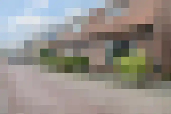 Van Waningstraat 5 Bleiswijk thumbnail 5