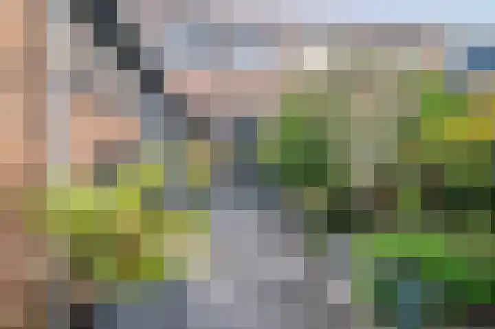 Van Waningstraat 5 Bleiswijk thumbnail 7