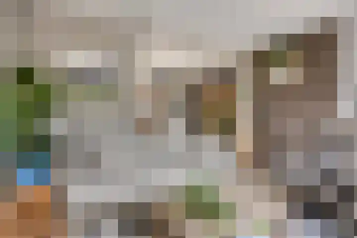Van Waningstraat 9 Bleiswijk thumbnail 10