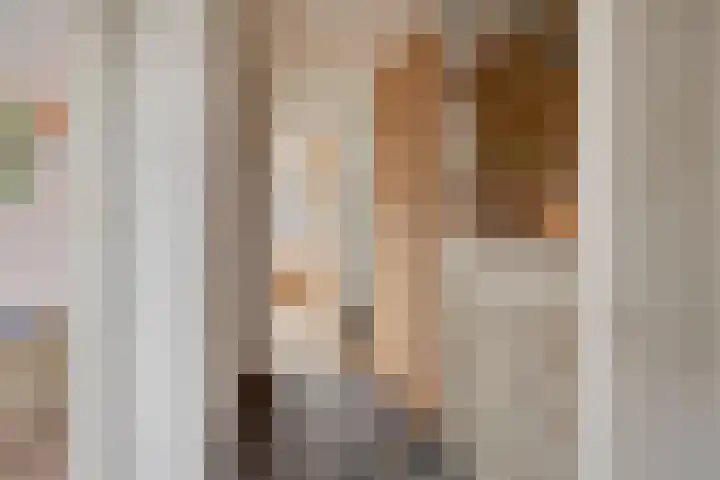 Van Waningstraat 9 Bleiswijk thumbnail 18