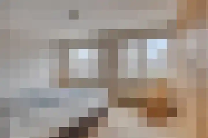 Van Waningstraat 9 Bleiswijk thumbnail 20