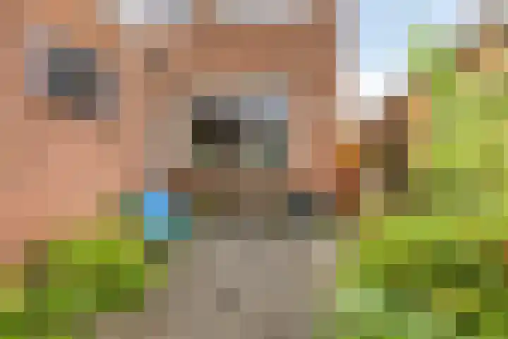 Van Waningstraat 9 Bleiswijk thumbnail 26