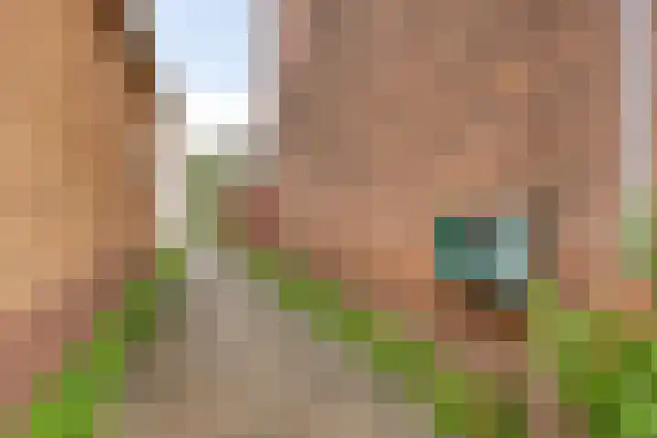 Van Waningstraat 9 Bleiswijk thumbnail 32