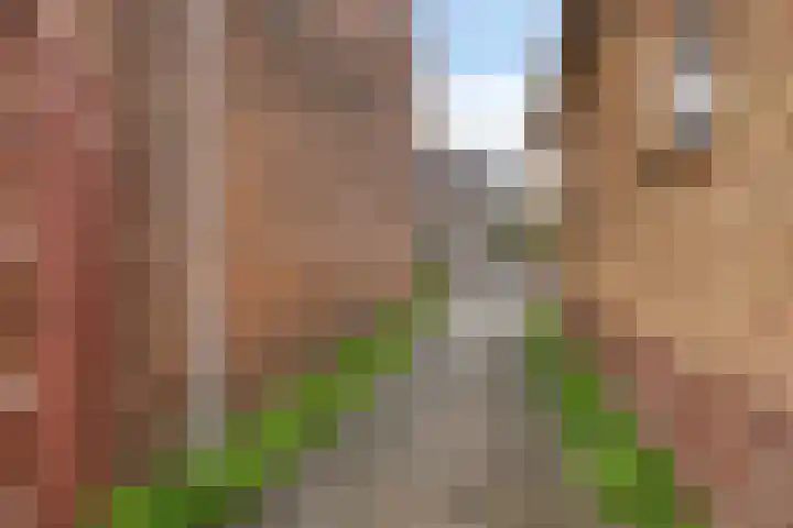 Van Waningstraat 9 Bleiswijk thumbnail 33