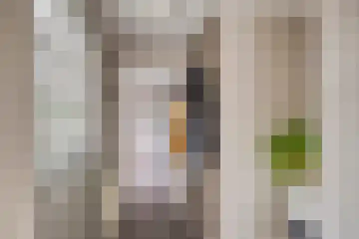 Van Waningstraat 9 Bleiswijk thumbnail 4