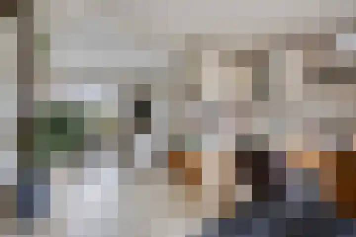 Van Waningstraat 9 Bleiswijk thumbnail 6