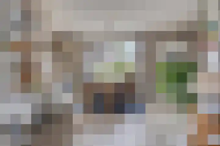 Van Waningstraat 9 Bleiswijk thumbnail 7