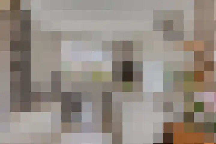 Van Waningstraat 9 Bleiswijk thumbnail 8