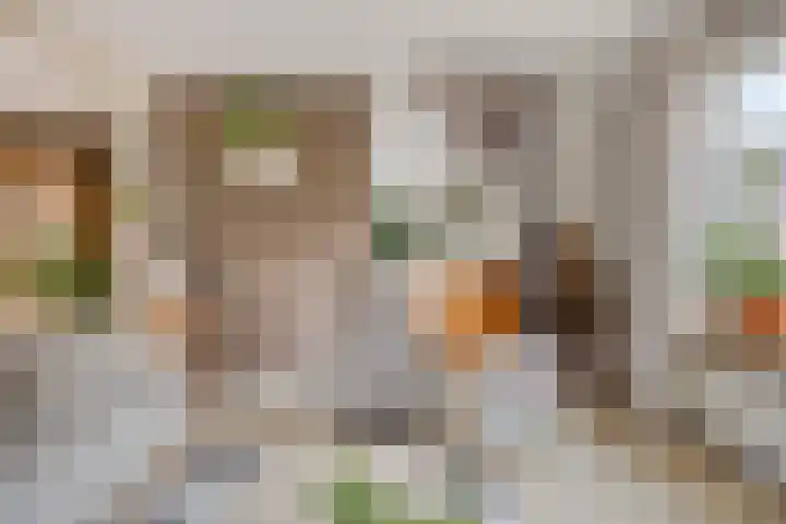 Van Waningstraat 9 Bleiswijk thumbnail 9