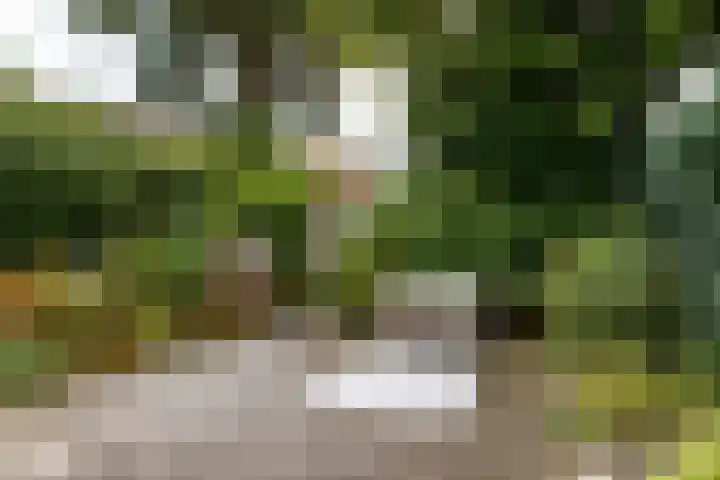 Van Wanroystraat 13 Vleuten thumbnail 13