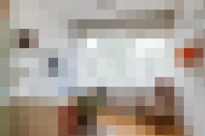 Van Wanroystraat 13 Vleuten thumbnail 18