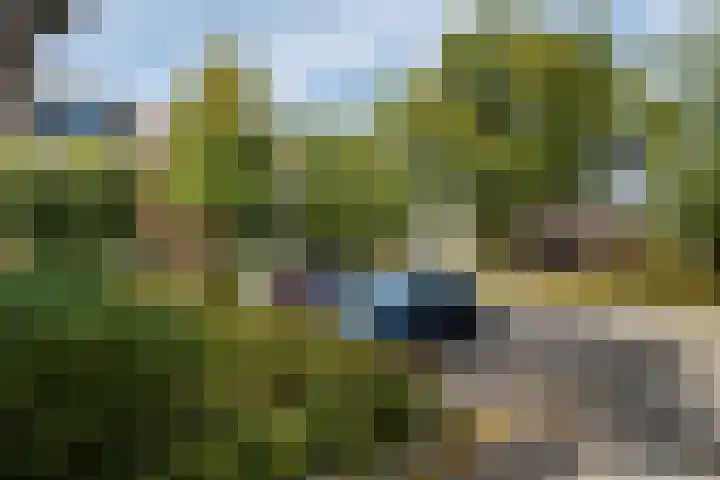 Van Wanroystraat 13 Vleuten thumbnail 25