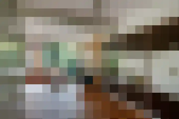 Van Wanroystraat 13 Vleuten thumbnail 8
