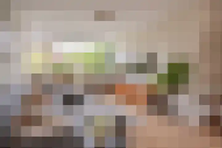 Van Warmondlaan 1 Wassenaar thumbnail 17