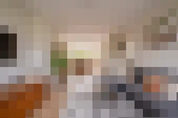 Van Warmondlaan 1 Wassenaar thumbnail 18