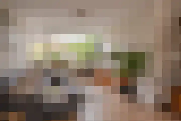 Van Warmondlaan 1 Wassenaar thumbnail 22