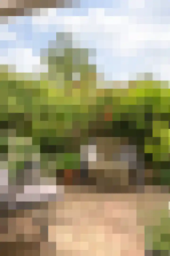 Van Warmondlaan 1 Wassenaar thumbnail 30