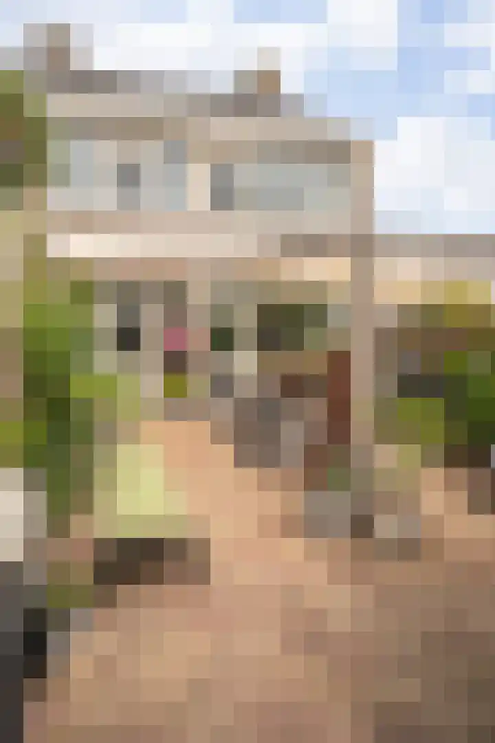 Van Warmondlaan 1 Wassenaar thumbnail 32