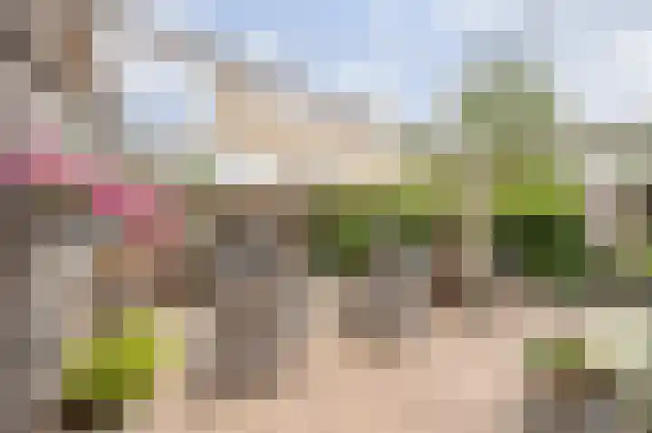 Van Warmondlaan 1 Wassenaar thumbnail 36
