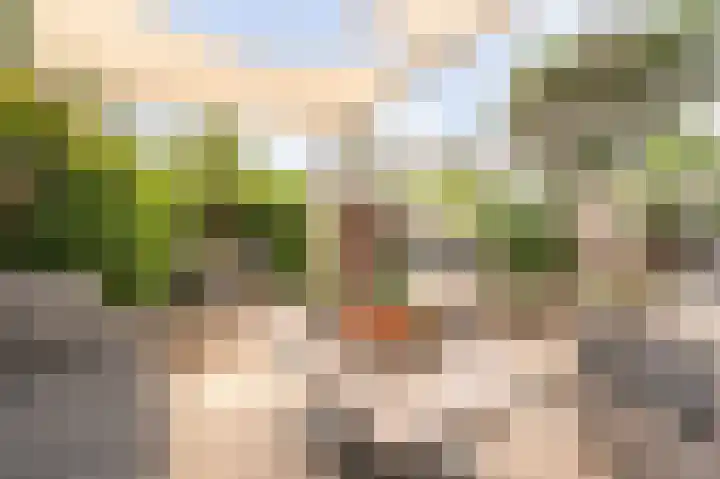 Van Warmondlaan 1 Wassenaar thumbnail 4