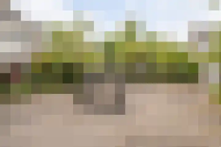 Van Warmondlaan 1 Wassenaar thumbnail 57