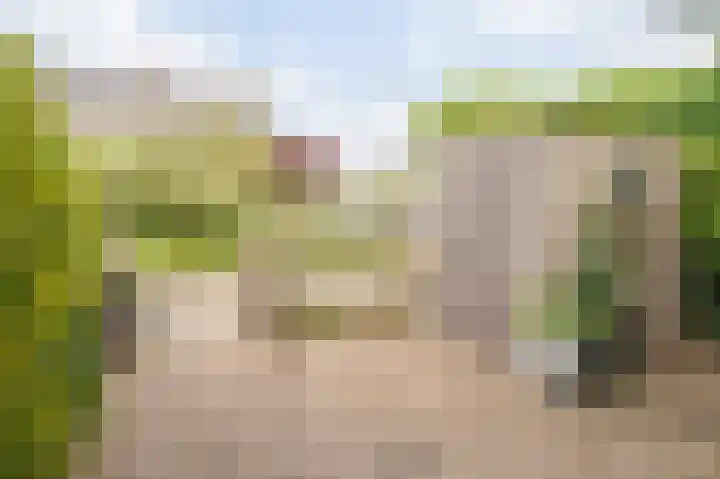 Van Warmondlaan 1 Wassenaar thumbnail 9