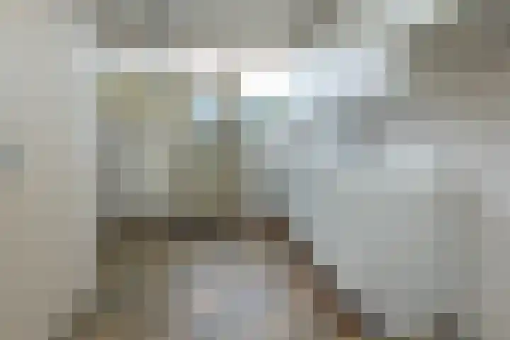 Van Warmondlaan 3 Wassenaar thumbnail 10