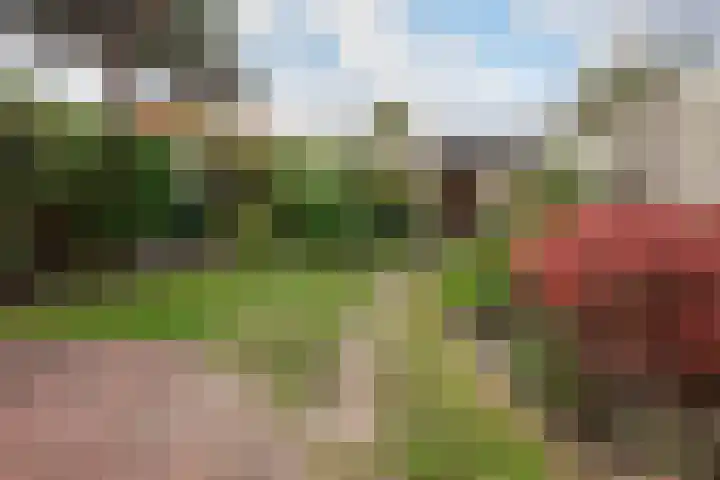 Van Warmondlaan 3 Wassenaar thumbnail 5