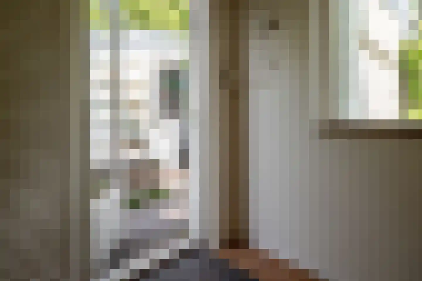 van Wassenaar van Obdamstraat 7 Nijverdal thumbnail 24