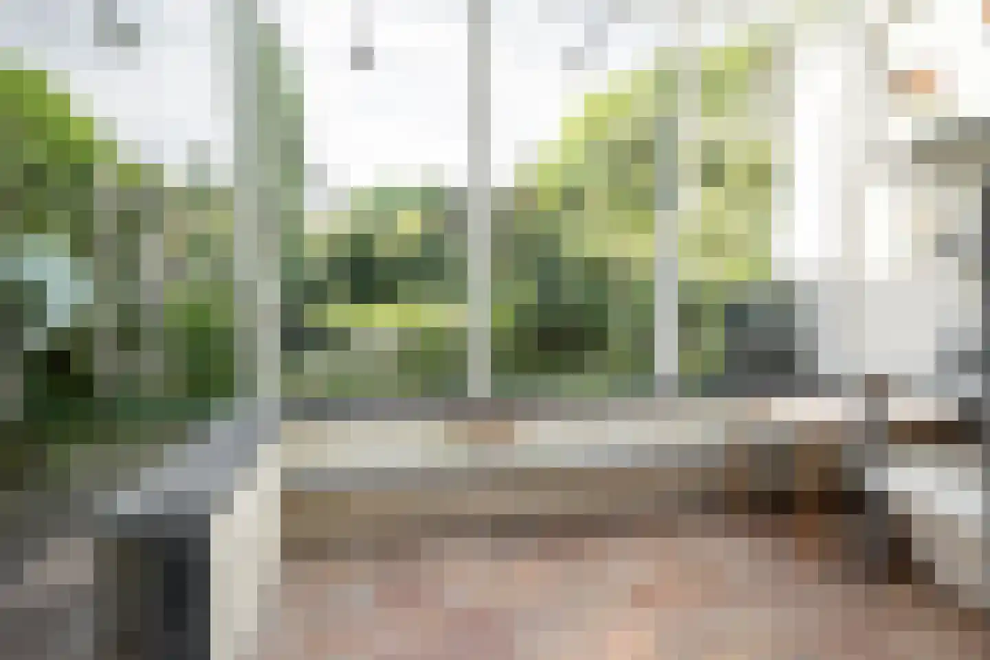 van Wassenaar van Obdamstraat 7 Nijverdal thumbnail 26
