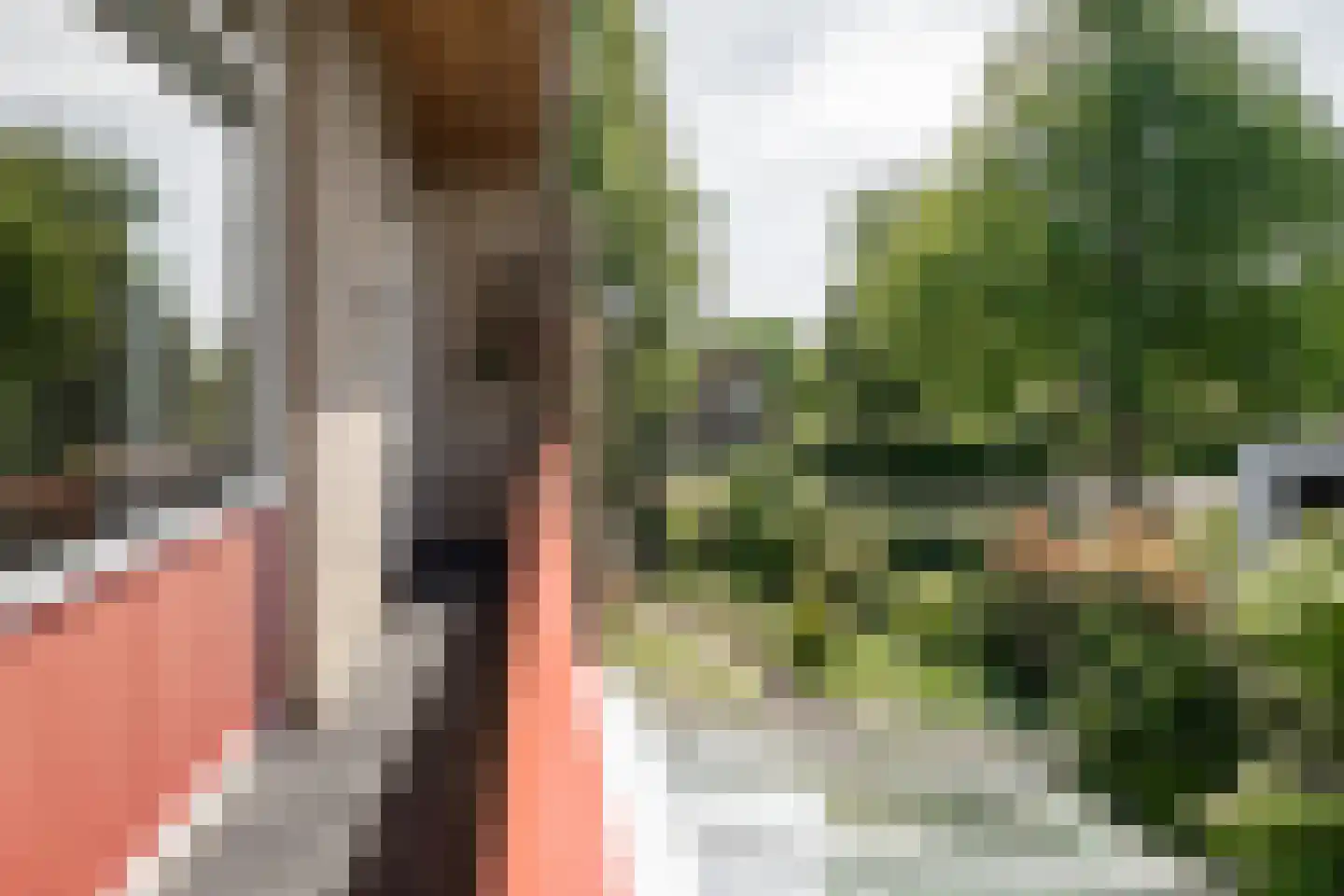 van Wassenaar van Obdamstraat 7 Nijverdal thumbnail 31