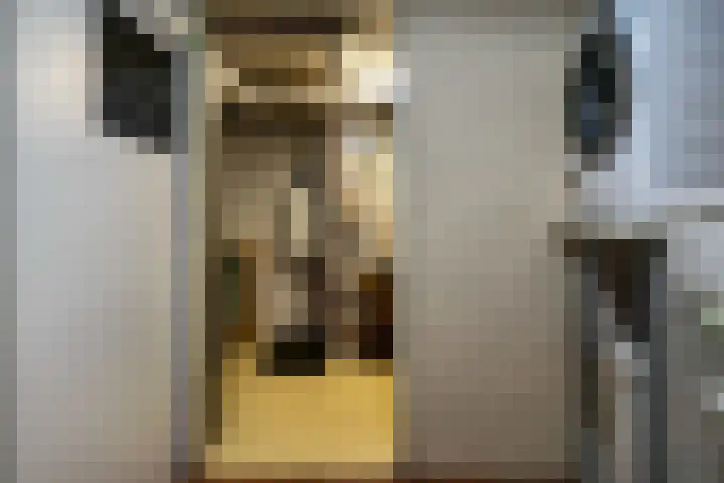 van Wassenaar van Obdamstraat 7 Nijverdal thumbnail 41