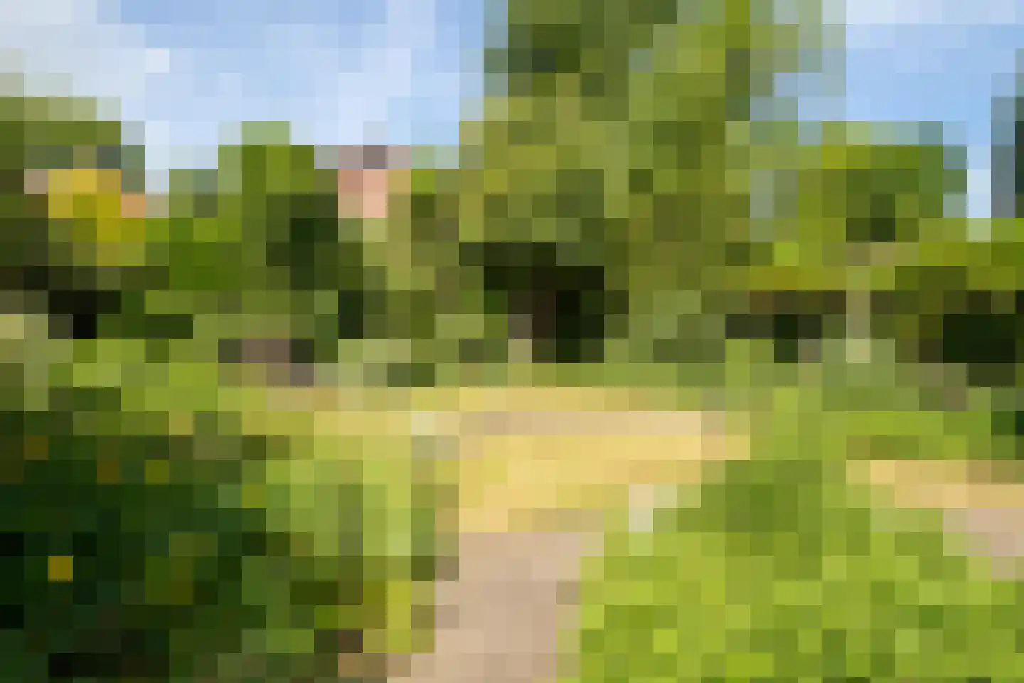 van Wassenaar van Obdamstraat 7 Nijverdal thumbnail 43