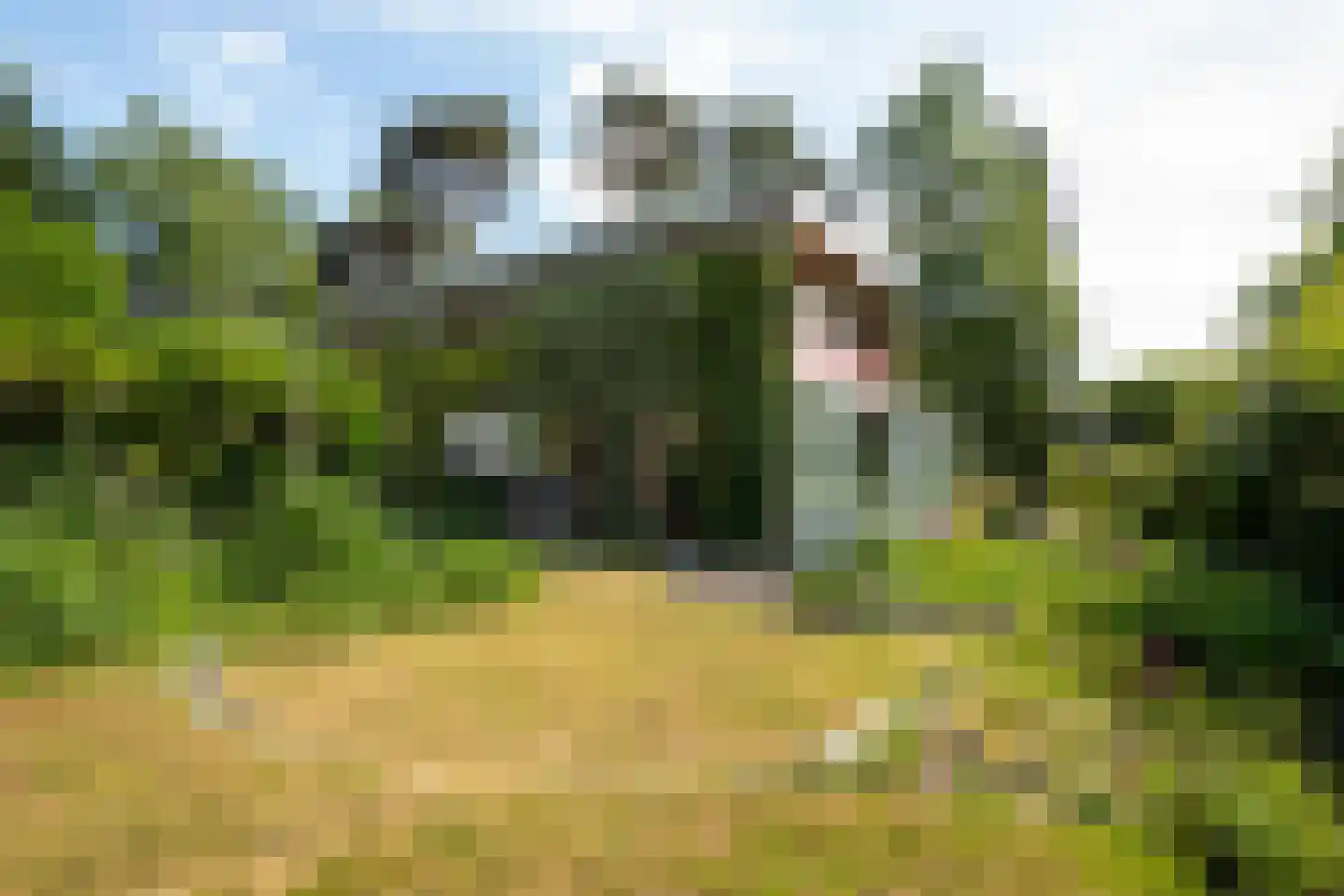 van Wassenaar van Obdamstraat 7 Nijverdal thumbnail 46